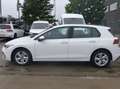 Volkswagen Golf 8 (Stock ID 89426) Blanc - thumbnail 4