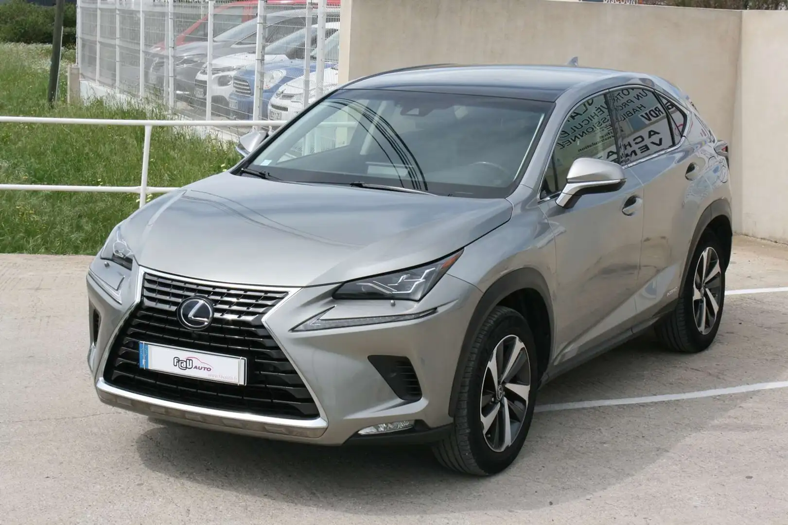 Lexus NX 300h 300H 4WD EXECUTIVE - 2