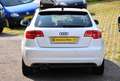 Audi A3 SB 2.0TDI S line plus Pano Klima Sitzh PDC Weiß - thumbnail 6