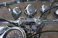 Harley-Davidson Heritage Softail Springer EVO Super Zustand Yeşil - thumbnail 19