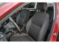 Skoda Octavia 2.0TDI CR Ambition 110kW Rojo - thumbnail 6