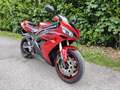 Yamaha YZF-R1 FMI ISCRIVIBILE Czerwony - thumbnail 2
